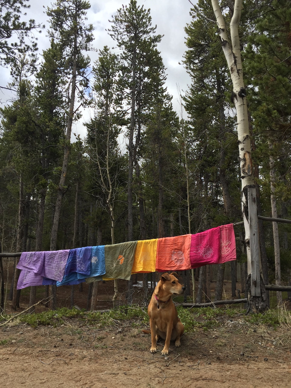 Custom Wild Rag
