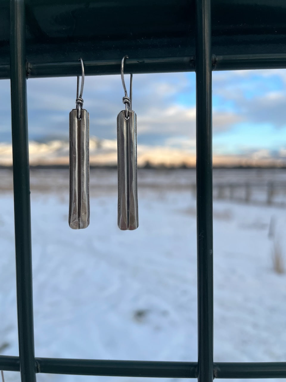 Everyday Adventure Earrings- Shorty
